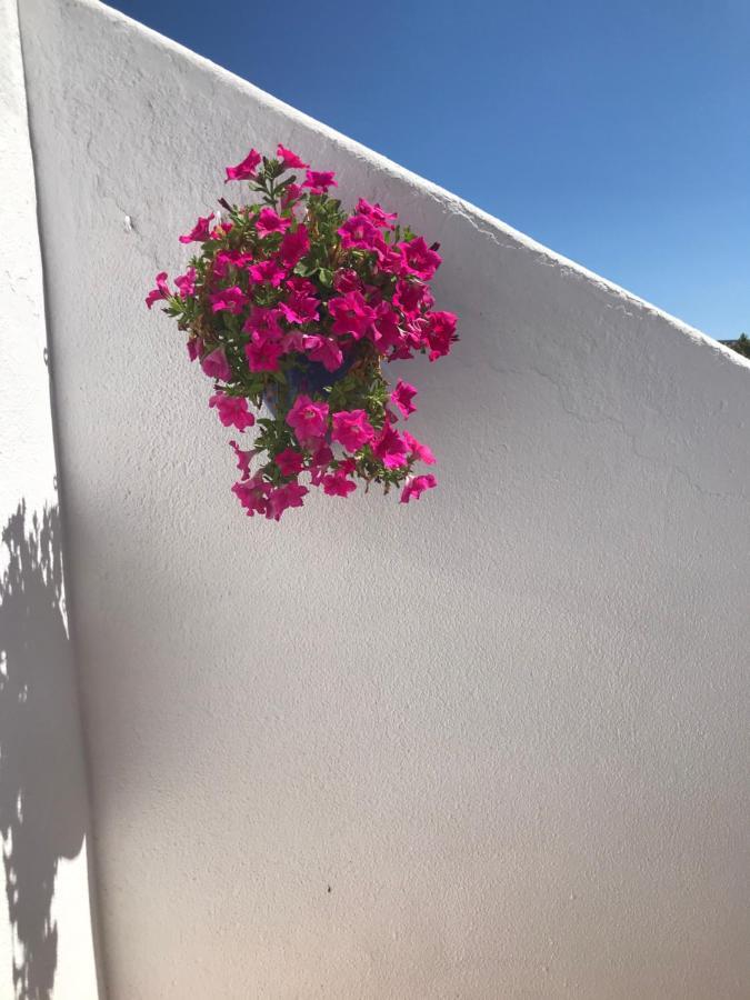 Bonita Casa Adosada エンプリアブラバ エクステリア 写真